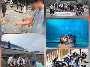 2026년 6월 제주도 여행