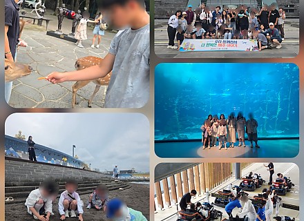 2026년 6월 제주도 여행